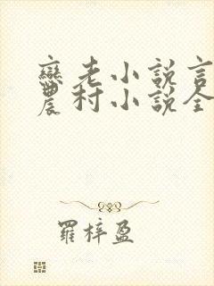 恋老小说言情网农村小说全文阅读