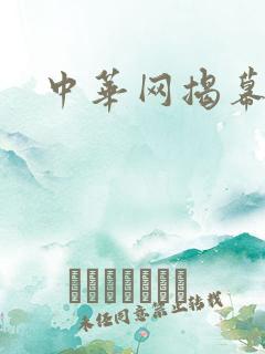 中华网揭幕内参