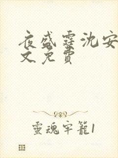 夜盛霆沈安然全文免费