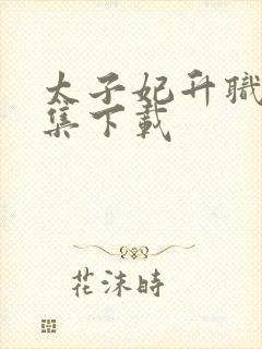 太子妃升职记全集下载