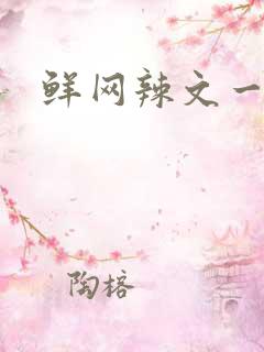 鲜网辣文一对一