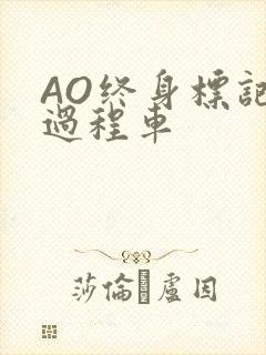 AO终身标记全过程车