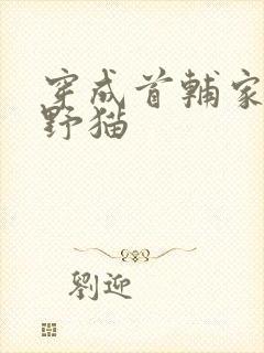 穿成首辅家的小野猫