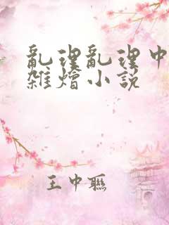 乱理乱理中文大杂烩小说