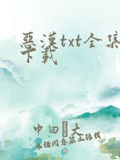 恶汉txt全集下载