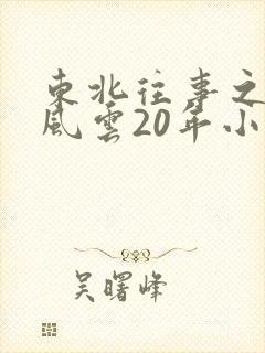 东北往事之黑道风云20年小说