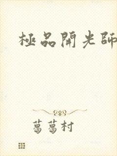 极品开光师阅读