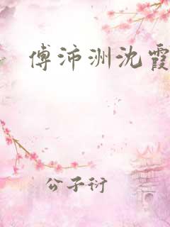 傅沛洲沈霞小说