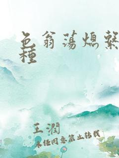 色翁荡熄系列借种