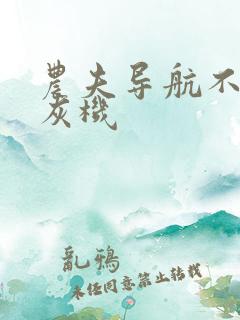 农夫导航不要打灰机