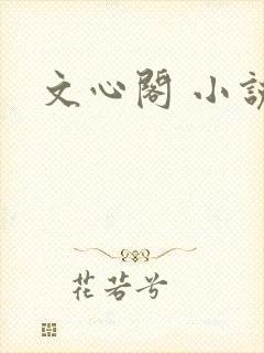 文心阁 小说