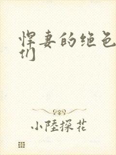 悍妻的绝色夫君们