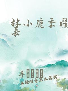 林小鹿季曜珉机长