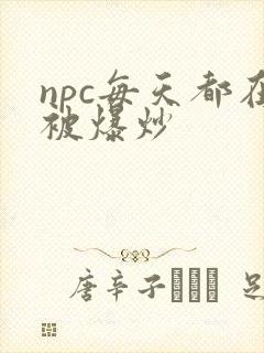 npc每天都在被爆炒