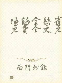 他的金丝雀小说免费全文免费阅读