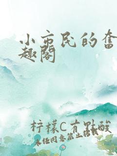 小市民的奋斗笔趣阁