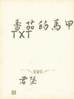 番茄的马甲小说TXT