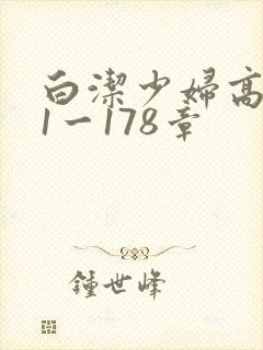 白洁少妇高义第1一178章