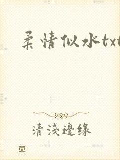 柔情似水txt