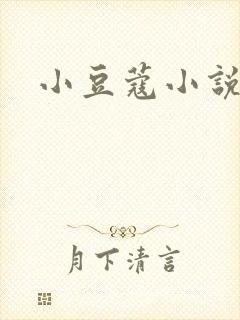 小豆蔻小说