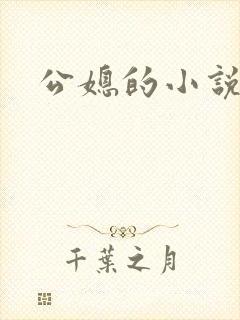公媳的小说