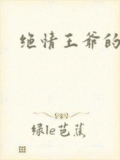 绝情王爷的丑妃