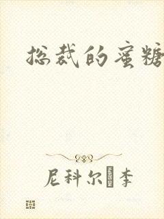 总裁的蜜糖宝贝