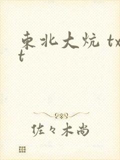 东北大炕 txt
