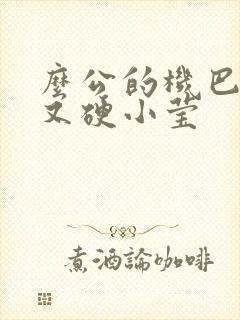 么公的机巴又粗又硬小莹