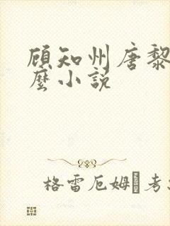 顾知州唐黎叫什么小说