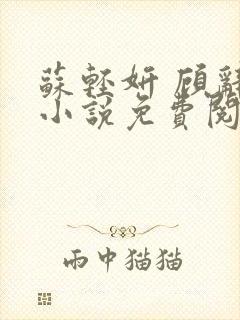 苏轻妍 顾辞笙小说免费阅读