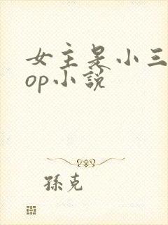 女主是小三的pop小说