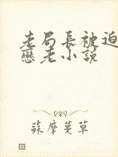 老局长被迫为奴恋老小说