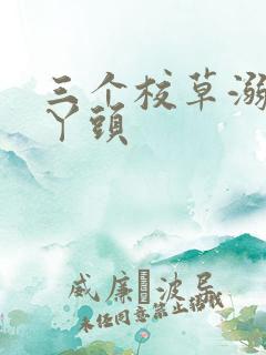 三个校草溺爱拽丫头