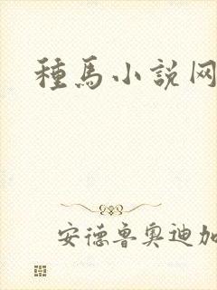 种马小说网