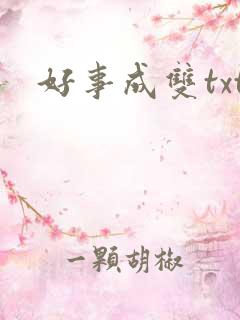 好事成双txt