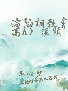 沦陷调教会所〈高h〉视频