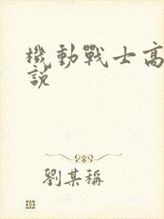 机动战士高达小说