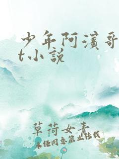 少年阿滨哥txt小说