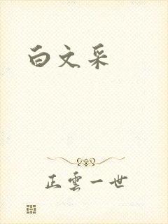 白文采