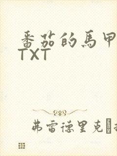 番茄的马甲小说TXT
