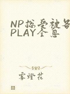 NP总受被各种PLAY全息