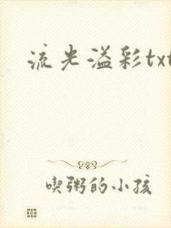 流光溢彩txt
