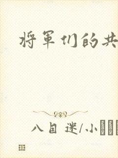 将军们的共妻H