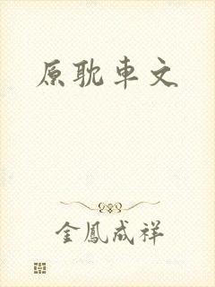 原耽车文