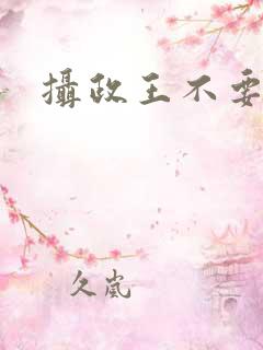 摄政王不要