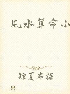 风水算命小说