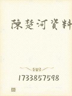 陈楚河资料