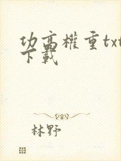 功高权重txt下载