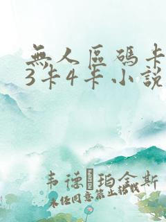 无人区码卡二卡3卡4卡小说